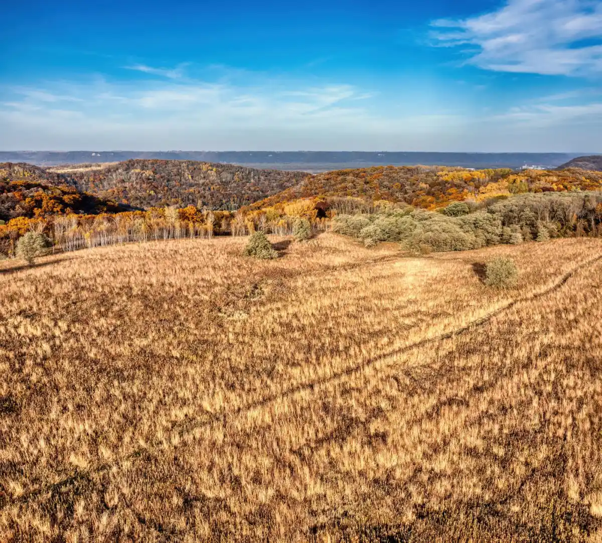 High open ground running out to a wooded ridge in autumn, Winona County, Minnesota