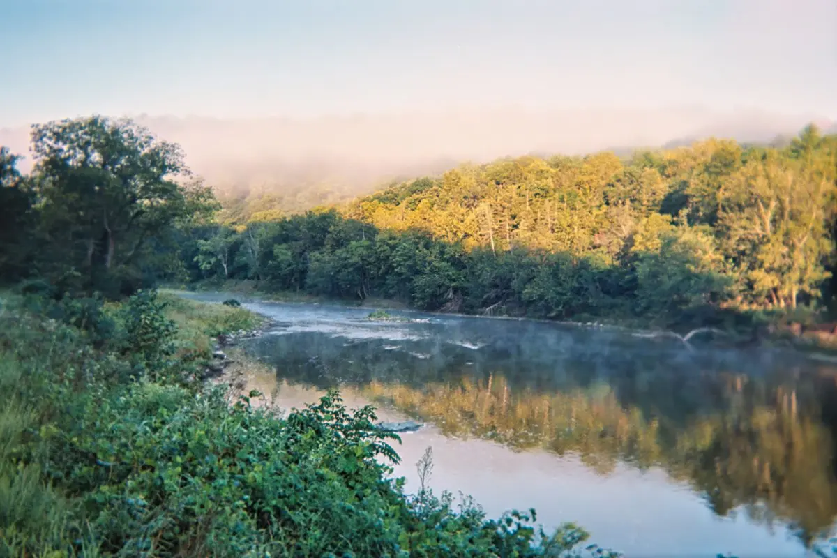 Wooded valley sides reflected in the Zumbro River at sunrise near Zumbro Falls, Minnesota