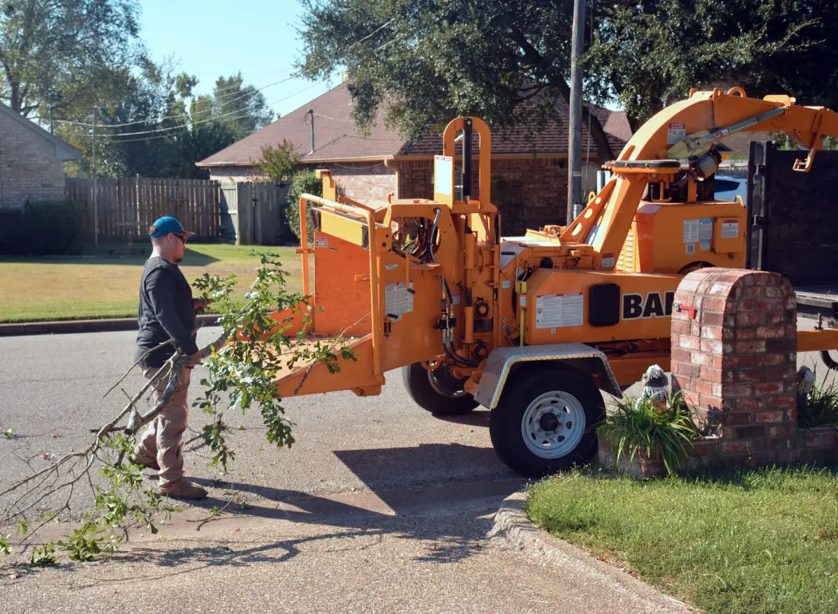 Operator feeding cut branches into a wood chipper during brush cleanup