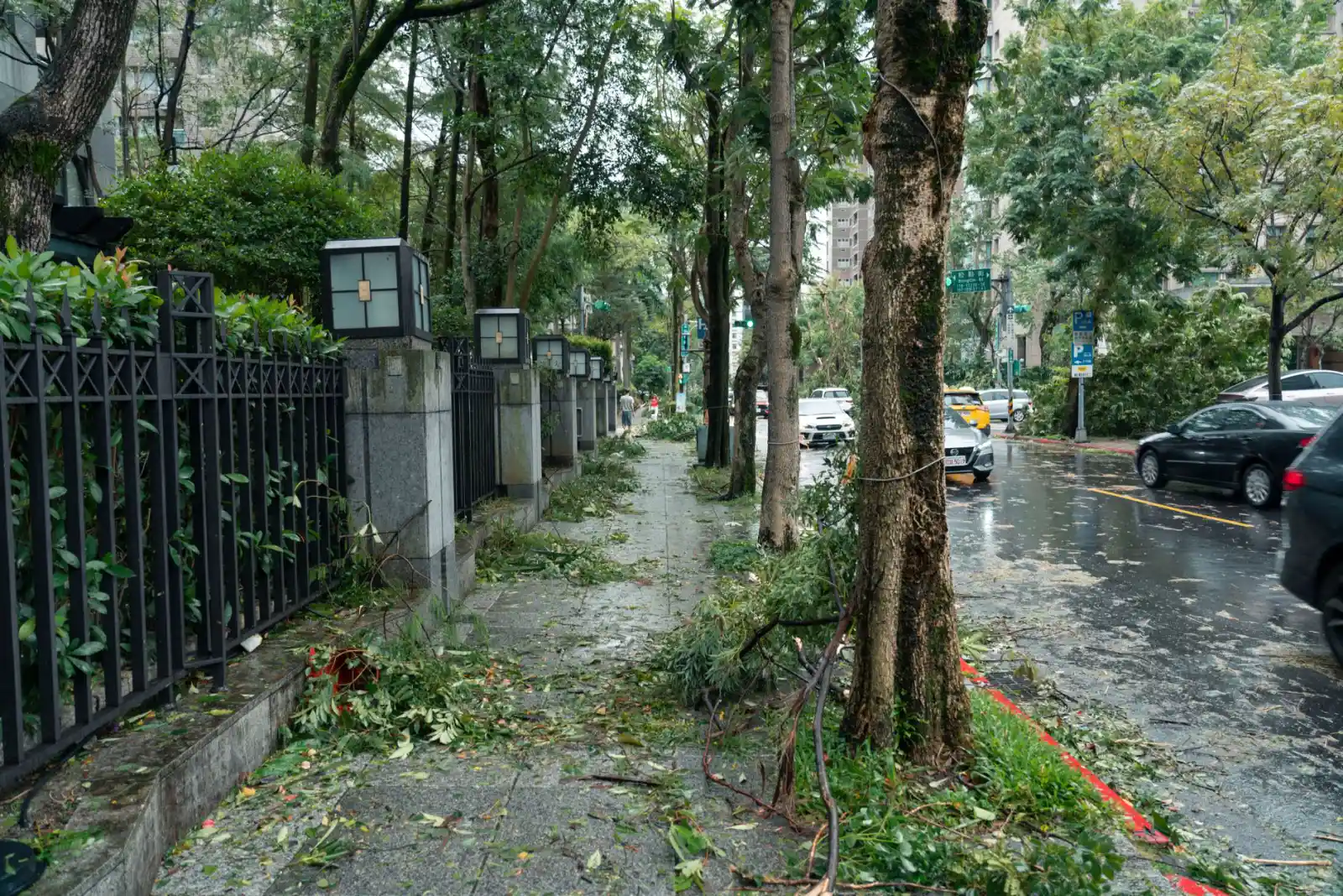 City street strewn with fallen branches and storm debris after a severe wind event