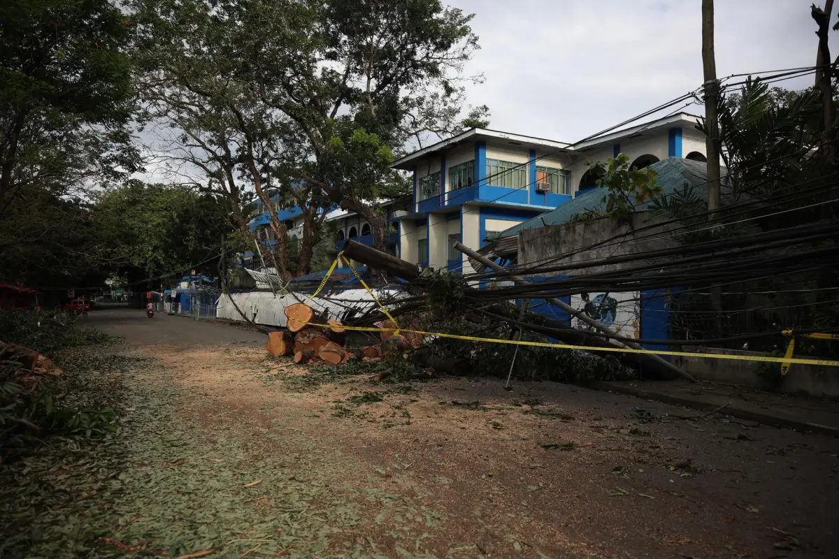 Fallen tree and downed power lines blocking a street after a storm