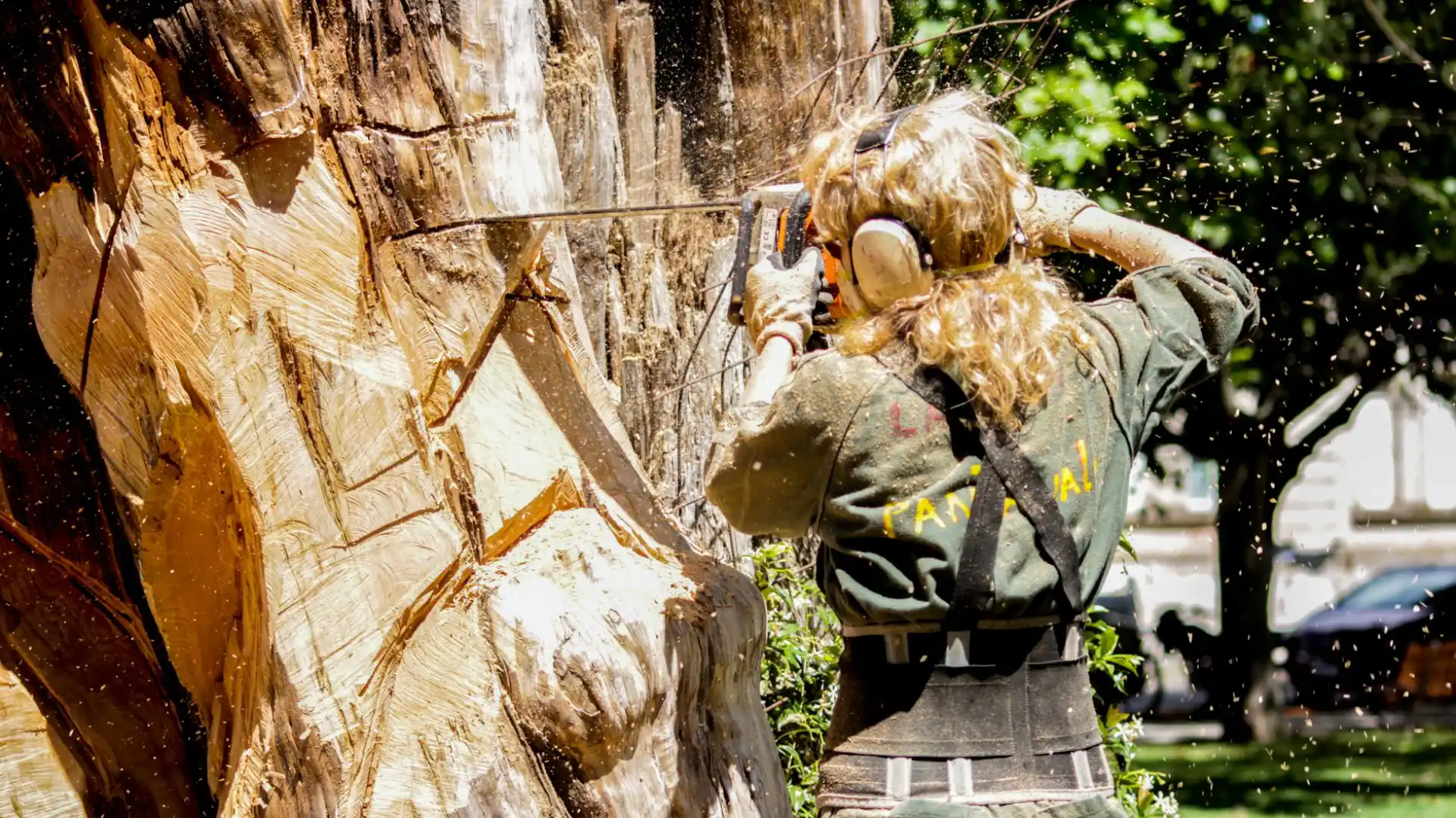 Arborist cutting a large tree with a chainsaw during a commercial tree removal