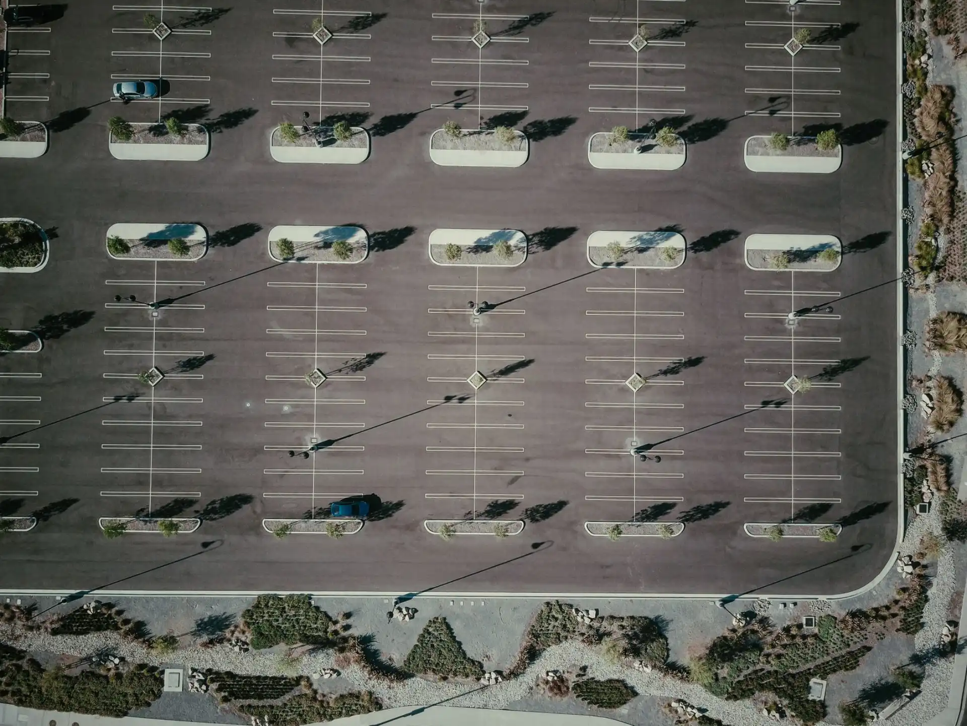 Aerial view of a commercial parking lot with mature trees casting long shadows