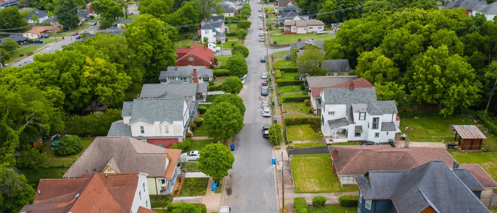 Aerial view of a tree-lined residential block, mature canopy running over shared streets and yards