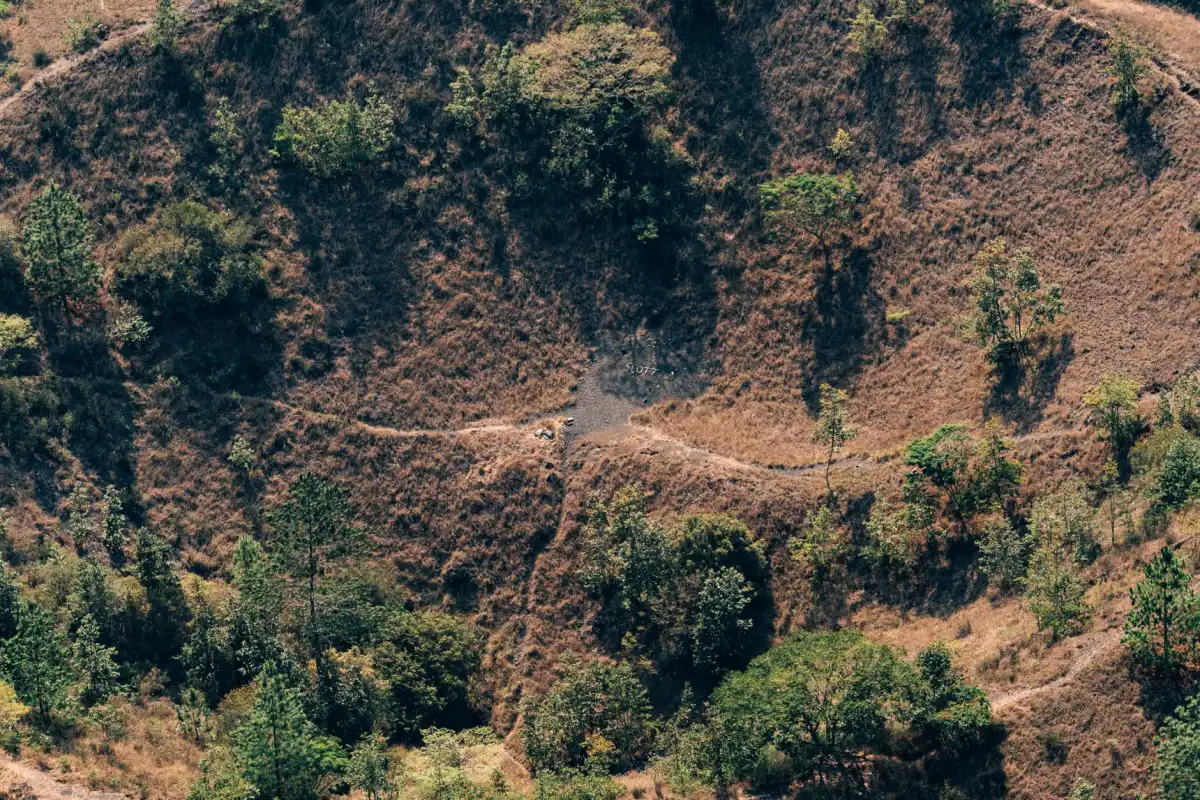 Aerial view of a wooded hillside lot with trees and pathways before clearing