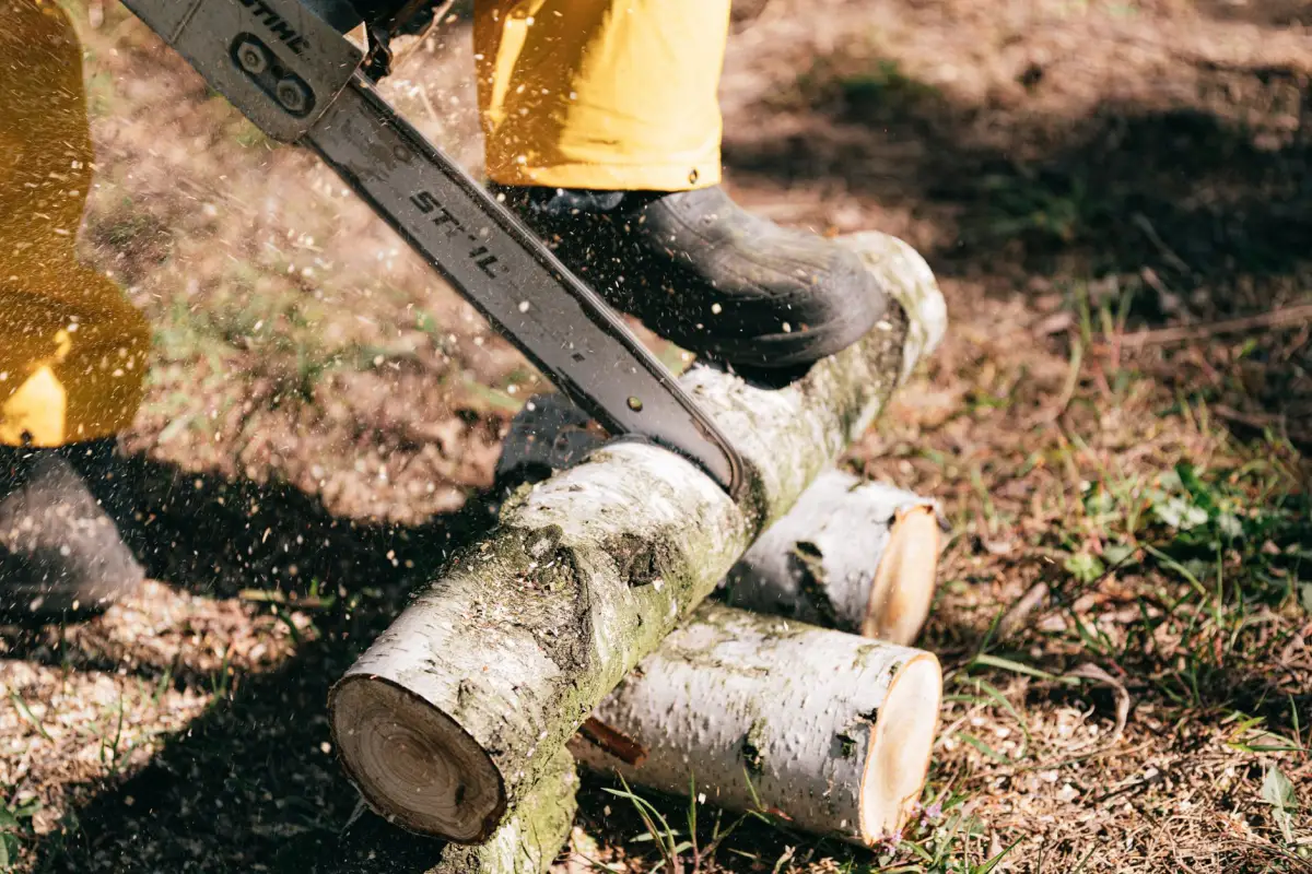Worker cutting a felled trunk into sections with a chainsaw after a tree removal