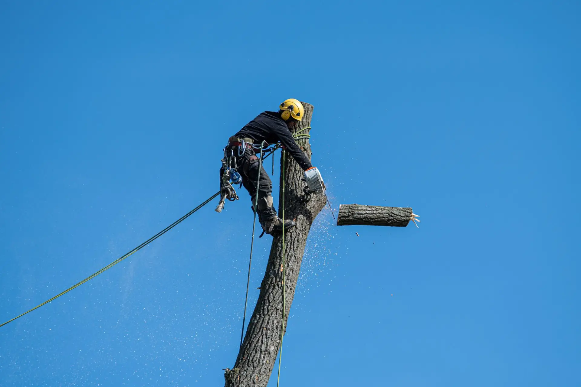 Arborist in safety gear making a chainsaw cut during a tree removal against a clear sky
